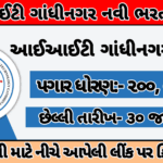 IIT Gandhinagar Recruitment 2025: આઈઆઈટી ગાંધીનગરમાં લાઇબ્રરીયન સહીત વિવિધ પદો પર ભરતી જાહેર મહિનાન, પગાર 1,44,200 સુધી