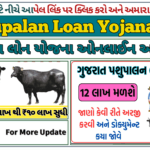 Pashupalan Loan Yojana 2025: પશુપાલન લોન યોજના ઓનલાઈન અરજી શરૂ, જાણો સંપૂર્ણ વિગતો